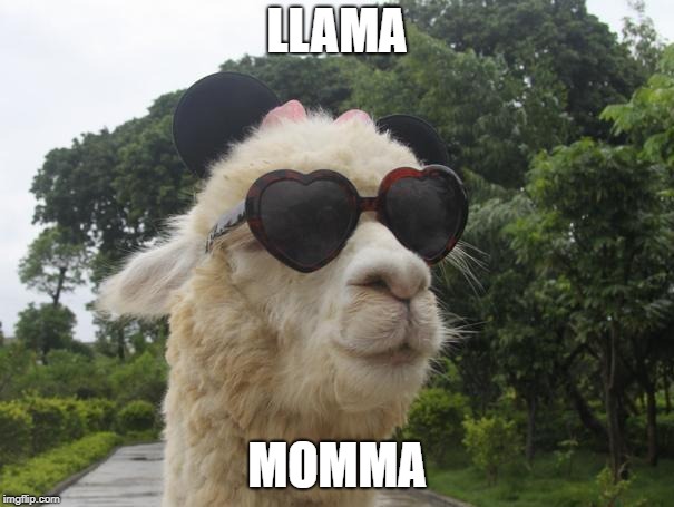 cool llama | LLAMA; MOMMA | image tagged in cool llama | made w/ Imgflip meme maker