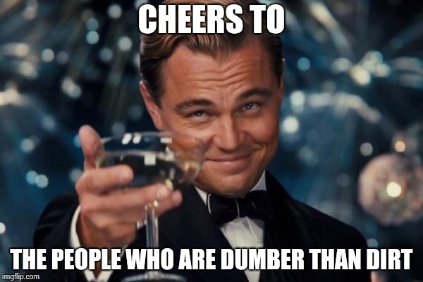 Leonardo Dicaprio Cheers Meme | CHEERS TO THE PEOPLE WHO ARE DUMBER THAN DIRT | image tagged in memes,leonardo dicaprio cheers | made w/ Imgflip meme maker