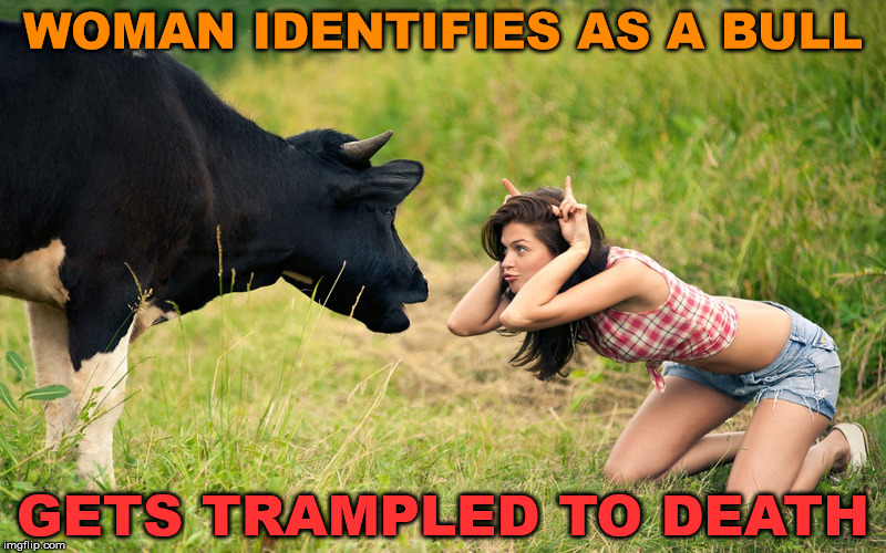 In the #metoo and identity society this just could happen. | WOMAN IDENTIFIES AS A BULL; GETS TRAMPLED TO DEATH | image tagged in metoo,memes,identify,social justice,funny,cow | made w/ Imgflip meme maker