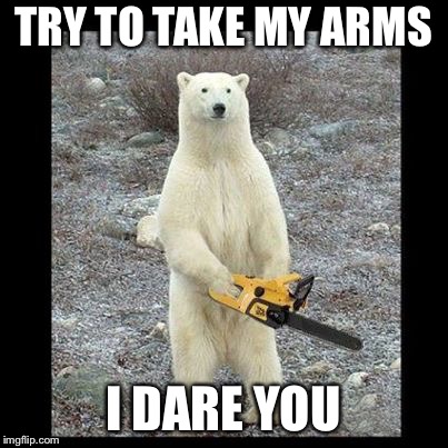 Chainsaw Bear Meme | TRY TO TAKE MY ARMS I DARE YOU | image tagged in memes,chainsaw bear | made w/ Imgflip meme maker