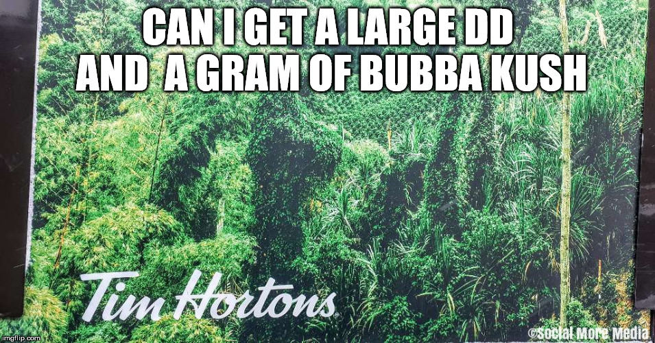 Looks like Tim Hortons is also getting into the Cannabis game!  | CAN I GET A LARGE DD 
AND 
A GRAM OF BUBBA KUSH | image tagged in cannabis,pot,marijuana,tim hortons,coffee,canada | made w/ Imgflip meme maker