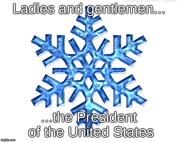 Snowflake | Ladies and gentlemen... ...the President of the United States | image tagged in snowflake | made w/ Imgflip meme maker