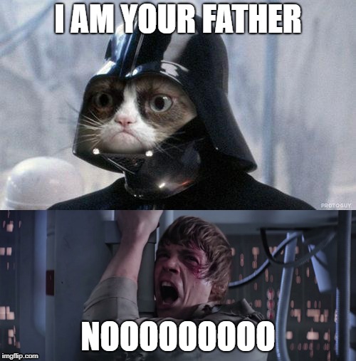 I AM YOUR FATHER; NOOOOOOOOO | image tagged in memes,grumpy cat star wars | made w/ Imgflip meme maker