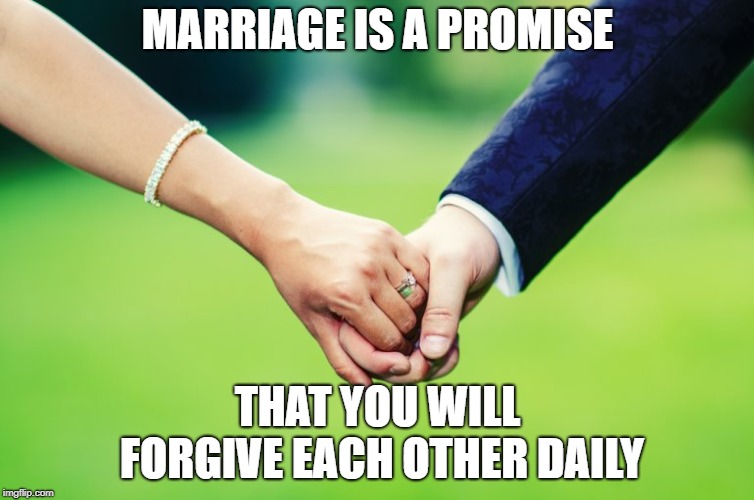 Traditional Marriage | MARRIAGE IS A PROMISE; THAT YOU WILL FORGIVE EACH OTHER DAILY | image tagged in traditional marriage | made w/ Imgflip meme maker