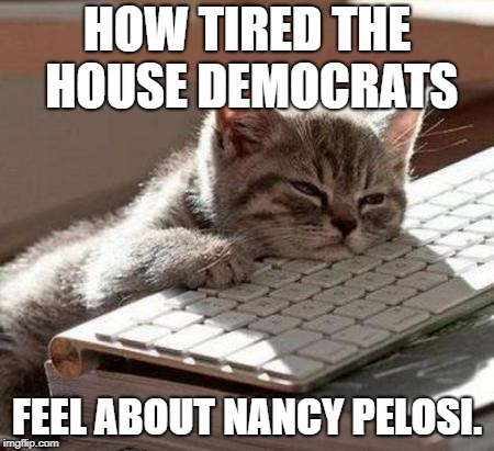 Anybody but Pelosi please | HOW TIRED THE HOUSE DEMOCRATS; FEEL ABOUT NANCY PELOSI. | image tagged in tired cat,memes,nancy pelosi,political,democrats,house | made w/ Imgflip meme maker