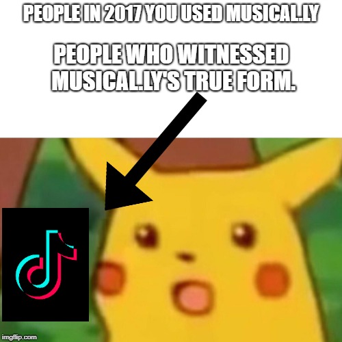 Surprised Pikachu | PEOPLE IN 2017 YOU USED MUSICAL.LY; PEOPLE WHO WITNESSED MUSICAL.LY'S TRUE FORM. | image tagged in memes,surprised pikachu | made w/ Imgflip meme maker