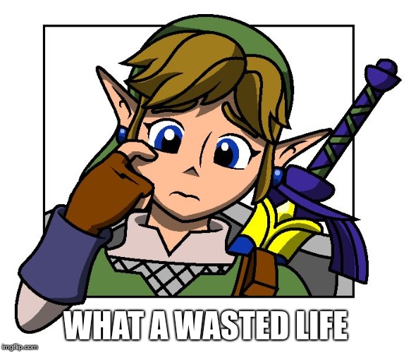 Confused Link | WHAT A WASTED LIFE | image tagged in confused link | made w/ Imgflip meme maker