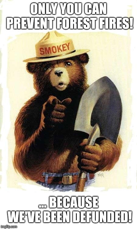 The politicians of America REALLY don't care about the environment... | ONLY YOU CAN PREVENT FOREST FIRES! ... BECAUSE WE'VE BEEN DEFUNDED! | image tagged in smokey the bear,environment,government corruption | made w/ Imgflip meme maker