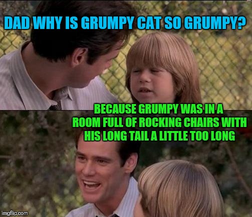 Long tailed cat in a room full of rocking chairs  | DAD WHY IS GRUMPY CAT SO GRUMPY? BECAUSE GRUMPY WAS IN A ROOM FULL OF ROCKING CHAIRS WITH HIS LONG TAIL A LITTLE TOO LONG | image tagged in memes,thats just something x say,funny,grumpy cat,long tail | made w/ Imgflip meme maker