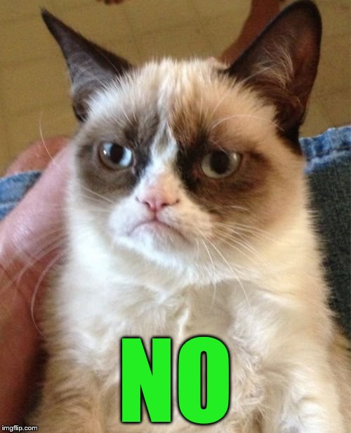 Grumpy Cat Meme | NO | image tagged in memes,grumpy cat | made w/ Imgflip meme maker