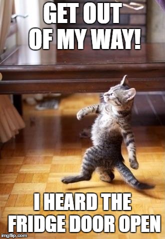 Cool Cat Stroll Meme | GET OUT OF MY WAY! I HEARD THE FRIDGE DOOR OPEN | image tagged in memes,cool cat stroll,random | made w/ Imgflip meme maker
