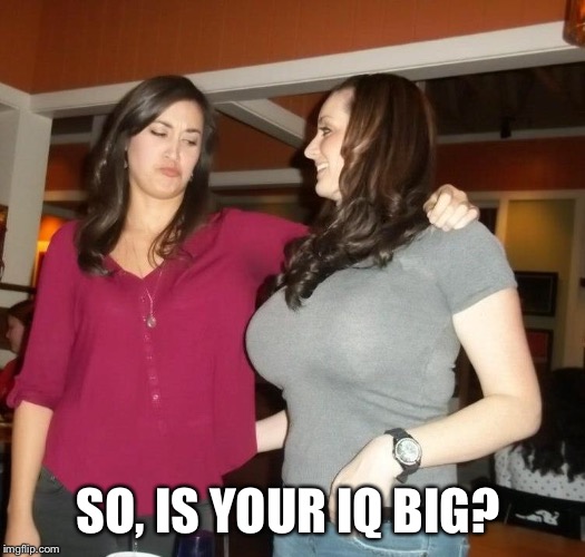 SO, IS YOUR IQ BIG? | made w/ Imgflip meme maker