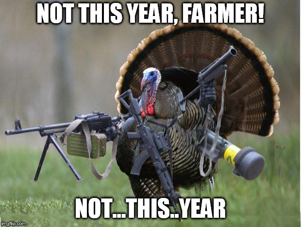 turkey | NOT THIS YEAR, FARMER! NOT...THIS..YEAR | image tagged in turkey | made w/ Imgflip meme maker