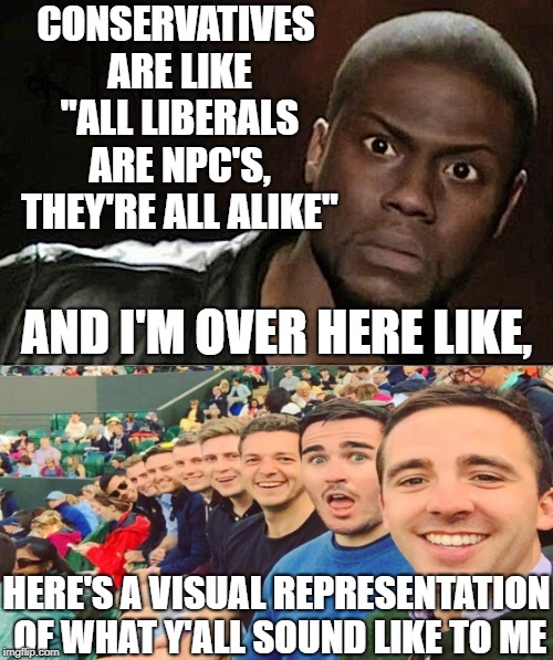 I get it, the NPC thing is funny and all, but seriously. | CONSERVATIVES ARE LIKE "ALL LIBERALS ARE NPC'S, THEY'RE ALL ALIKE"; AND I'M OVER HERE LIKE, HERE'S A VISUAL REPRESENTATION OF WHAT Y'ALL SOUND LIKE TO ME | image tagged in memes,kevin hart,npc,same | made w/ Imgflip meme maker