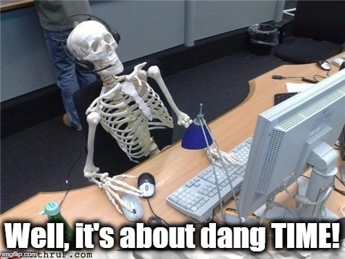 Waiting skeleton | Well, it's about dang TIME! | image tagged in waiting skeleton | made w/ Imgflip meme maker