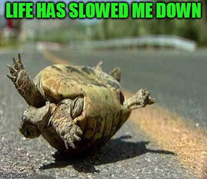 LIFE HAS SLOWED ME DOWN | made w/ Imgflip meme maker