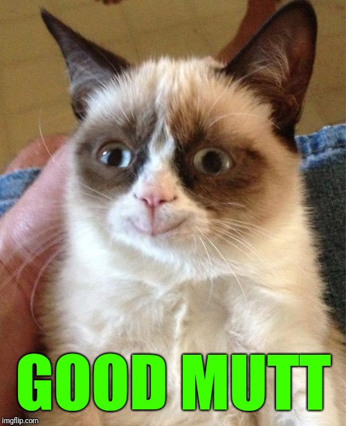 Grumpy Cat Happy Meme | GOOD MUTT | image tagged in memes,grumpy cat happy,grumpy cat | made w/ Imgflip meme maker