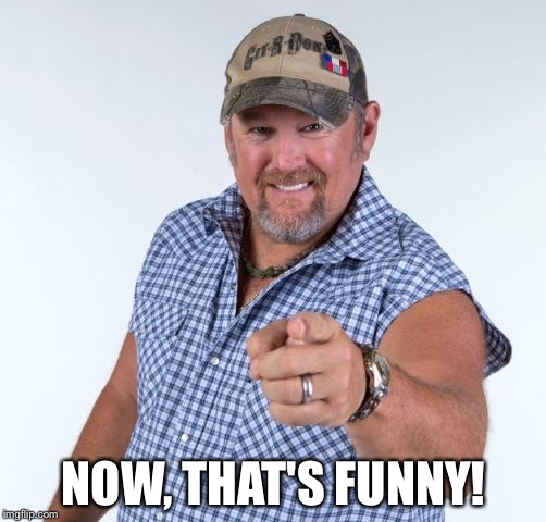 Larry the Cable Guy | NOW, THAT'S FUNNY! | image tagged in larry the cable guy | made w/ Imgflip meme maker