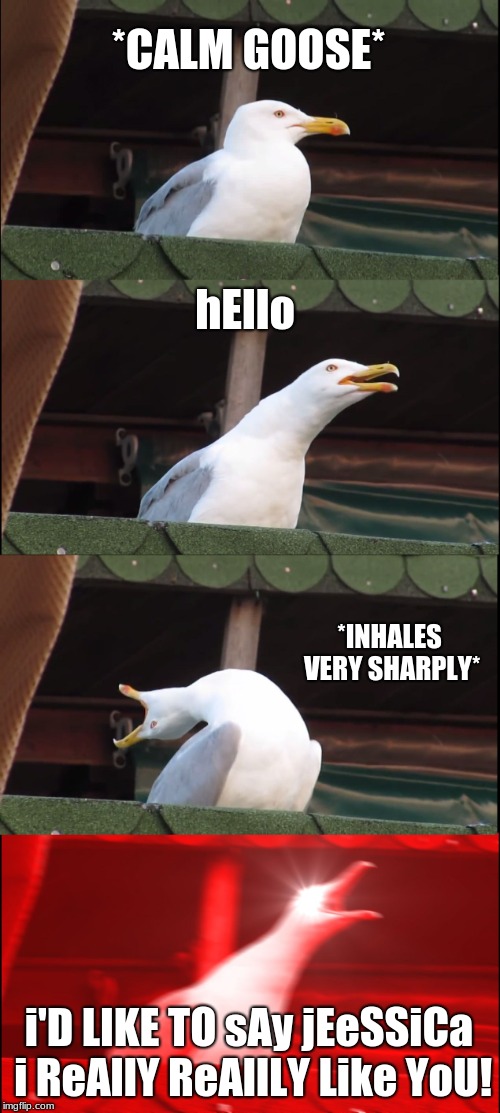 Inhaling Seagull | *CALM GOOSE*; hEllo; *INHALES VERY SHARPLY*; i'D LIKE TO sAy jEeSSiCa i ReAllY ReAllLY Like YoU! | image tagged in memes,inhaling seagull | made w/ Imgflip meme maker