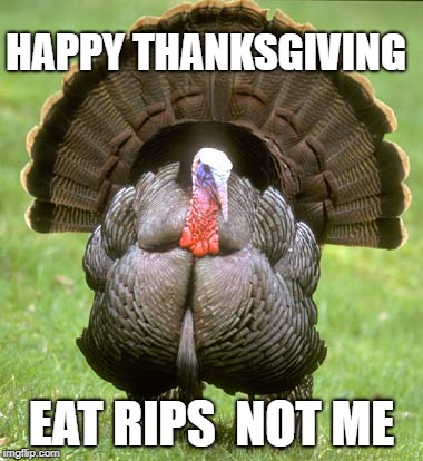 Turkey | HAPPY THANKSGIVING; EAT RIPS 
NOT ME | image tagged in memes,turkey | made w/ Imgflip meme maker