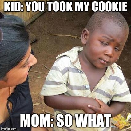 Third World Skeptical Kid | KID: YOU TOOK MY COOKIE; MOM: SO WHAT | image tagged in memes,third world skeptical kid | made w/ Imgflip meme maker