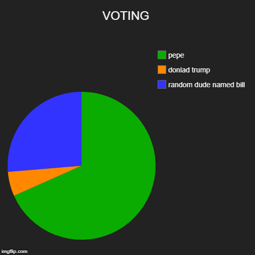 VOTING | random dude named bill, donlad trump, pepe | image tagged in funny,pie charts | made w/ Imgflip chart maker