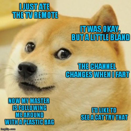 I Have A Feeling I'm In For Some Discomfort.. | I JUST ATE THE TV REMOTE; IT WAS OKAY, BUT A LITTLE BLAND; THE CHANNEL CHANGES WHEN I FART; NOW MY MASTER IS FOLLOWING ME AROUND WITH A PLASTIC BAG; I'D LIKE TO SEE A CAT TRY THAT | image tagged in memes,doge | made w/ Imgflip meme maker