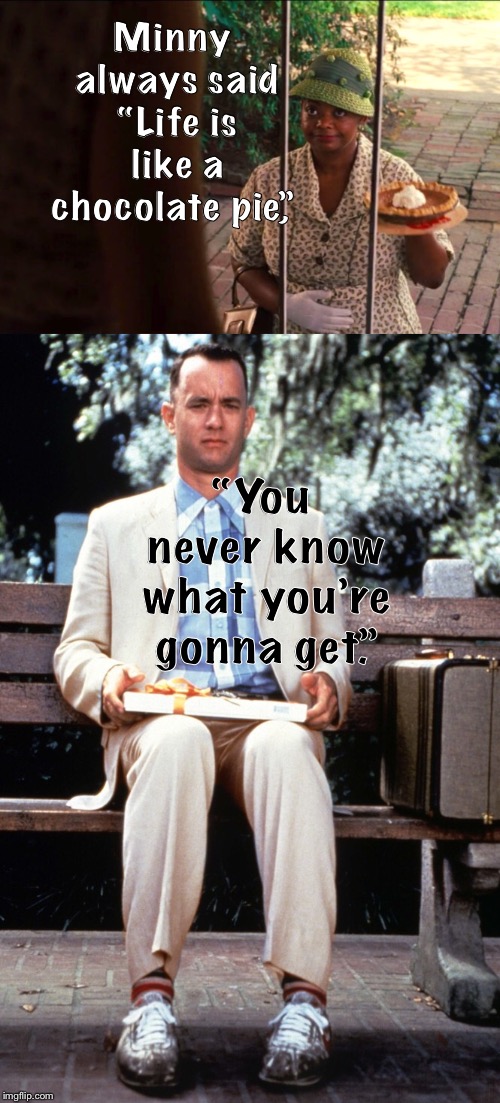 Minny Gump | Minny always said “Life is like a chocolate pie,”; “You never know what you’re gonna get.” | image tagged in memes | made w/ Imgflip meme maker