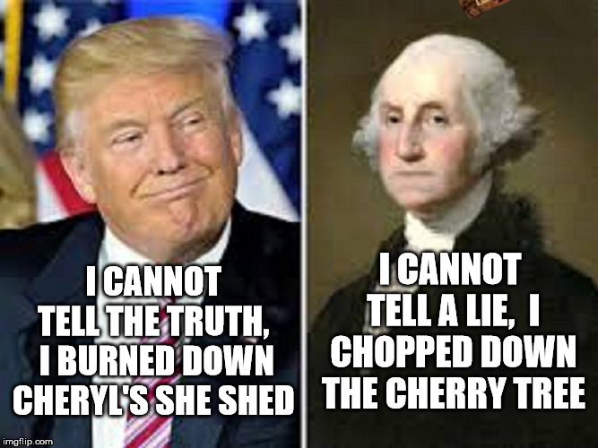 I CANNOT TELL A LIE, 
I CHOPPED DOWN THE CHERRY TREE; I CANNOT TELL THE TRUTH, 
I BURNED DOWN CHERYL'S SHE SHED | image tagged in scumbag | made w/ Imgflip meme maker