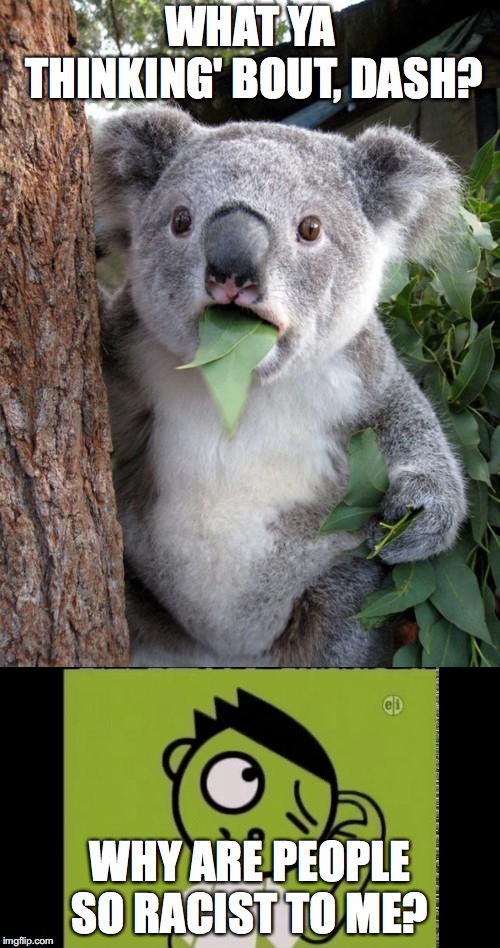 Koala is racist | WHAT YA THINKING' BOUT, DASH? WHY ARE PEOPLE SO RACIST TO ME? | image tagged in memes,surprised koala | made w/ Imgflip meme maker