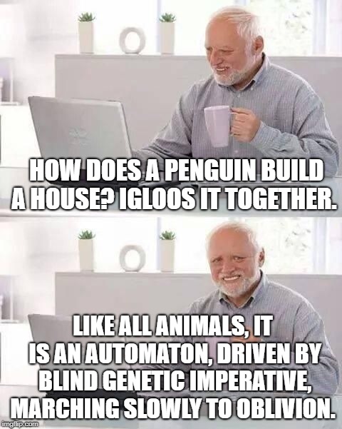 hide the pain harold | HOW DOES A PENGUIN BUILD A HOUSE? IGLOOS IT TOGETHER. LIKE ALL ANIMALS, IT IS AN AUTOMATON, DRIVEN BY BLIND GENETIC IMPERATIVE, MARCHING SLOWLY TO OBLIVION. | image tagged in hide the pain harold | made w/ Imgflip meme maker