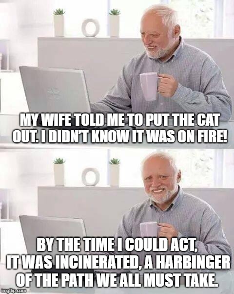 Hide the Pain Harold Meme | MY WIFE TOLD ME TO PUT THE CAT OUT. I DIDN’T KNOW IT WAS ON FIRE! BY THE TIME I COULD ACT, IT WAS INCINERATED, A HARBINGER OF THE PATH WE ALL MUST TAKE. | image tagged in memes,hide the pain harold | made w/ Imgflip meme maker