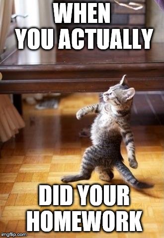 Cool Cat Stroll | WHEN YOU ACTUALLY; DID YOUR HOMEWORK | image tagged in memes,cool cat stroll | made w/ Imgflip meme maker