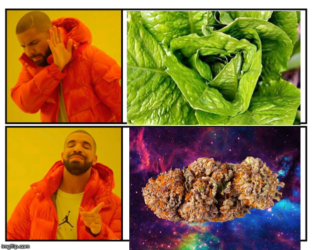 https://www.cdc.gov/ecoli/2018/o157h7-11-18/index.html | image tagged in drakeposting,space weed | made w/ Imgflip meme maker