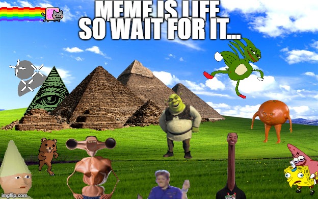 meme | MEME IS LIFE; SO WAIT FOR IT... | image tagged in meme,rainbow,wtf | made w/ Imgflip meme maker