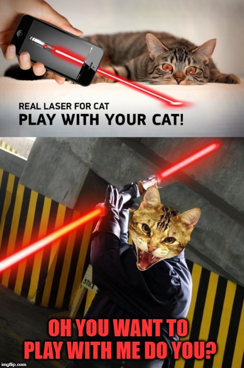 Playtime  | OH YOU WANT TO PLAY WITH ME DO YOU? | image tagged in funny memes,cat,cat memes,sith lord,darth cat | made w/ Imgflip meme maker