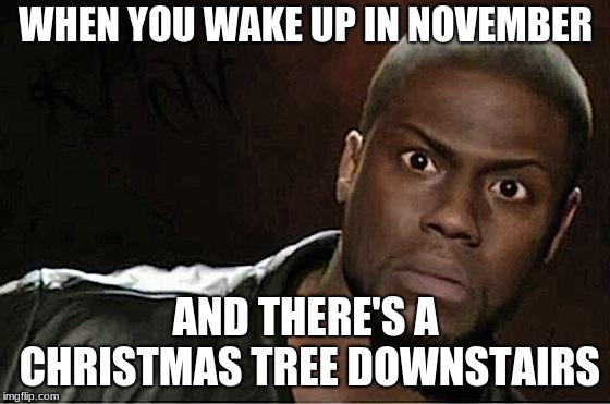 Kevin Hart | WHEN YOU WAKE UP IN NOVEMBER; AND THERE'S A CHRISTMAS TREE DOWNSTAIRS | image tagged in memes,kevin hart | made w/ Imgflip meme maker