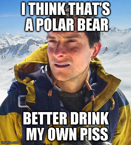 Bear Grylls Meme | image tagged in memes,bear grylls | made w/ Imgflip meme maker