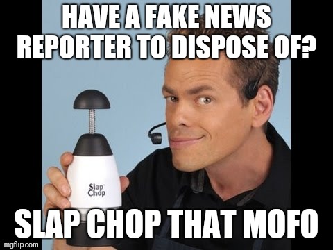 Rain Drop Slap Chop | HAVE A FAKE NEWS REPORTER TO DISPOSE OF? SLAP CHOP THAT MOFO | image tagged in rain drop slap chop | made w/ Imgflip meme maker