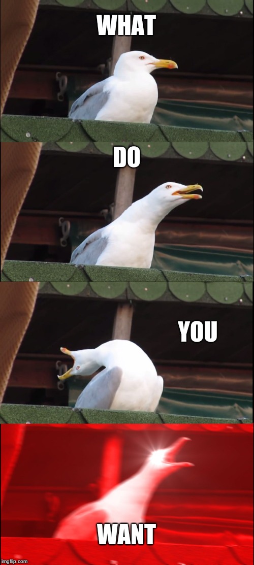 Inhaling Seagull Meme | WHAT; DO; YOU; WANT | image tagged in memes,inhaling seagull | made w/ Imgflip meme maker