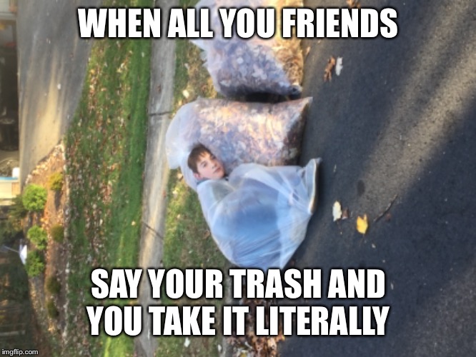 Depressed leaf man | WHEN ALL YOU FRIENDS; SAY YOUR TRASH AND YOU TAKE IT LITERALLY | image tagged in funny memes | made w/ Imgflip meme maker