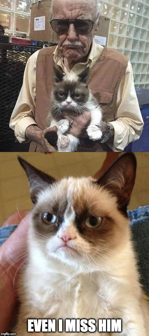 Grumpy Stan | EVEN I MISS HIM | image tagged in memes,grumpy cat,stan lee | made w/ Imgflip meme maker