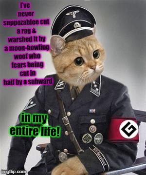 Grammar Nazi Cat | I've never suppozablee cut a rag & warshed it by a moon-howling woof who fears being cut in half by a suhward; in my entire life! | image tagged in grammar nazi cat | made w/ Imgflip meme maker