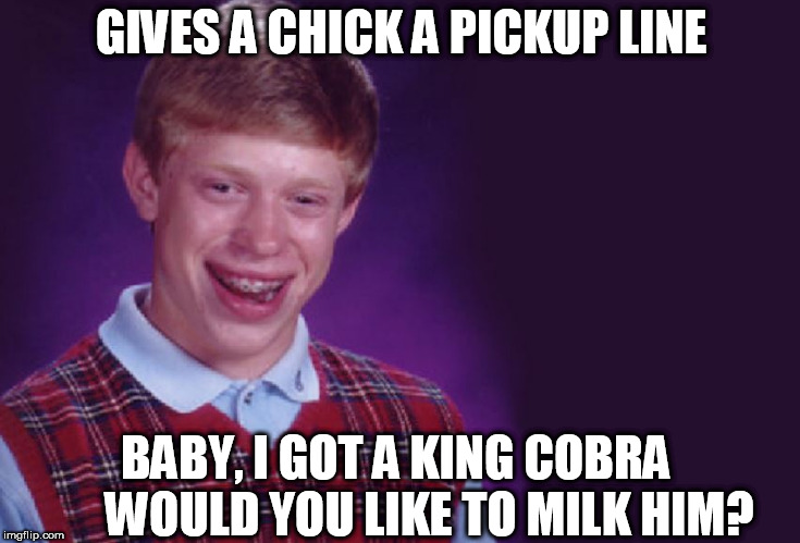 Brian lays down a pickup line!!                          | GIVES A CHICK A PICKUP LINE; BABY, I GOT A KING COBRA  




WOULD YOU LIKE TO MILK HIM? | image tagged in bad luck brian,king,cobra,milk him,would you like to,baby | made w/ Imgflip meme maker