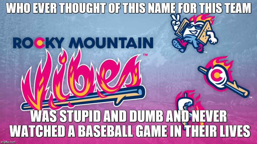 WHO EVER THOUGHT OF THIS NAME FOR THIS TEAM; WAS STUPID AND DUMB AND NEVER WATCHED A BASEBALL GAME IN THEIR LIVES | image tagged in vibes | made w/ Imgflip meme maker