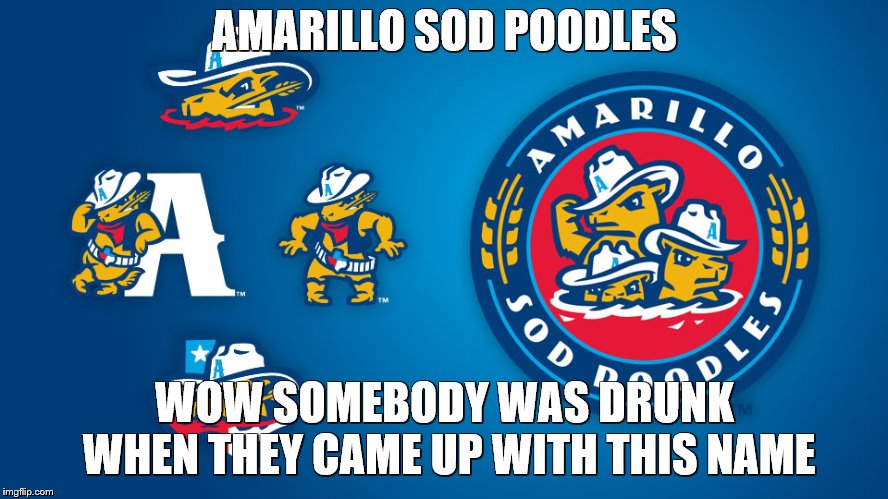 AMARILLO SOD POODLES; WOW SOMEBODY WAS DRUNK WHEN THEY CAME UP WITH THIS NAME | image tagged in sod poodles | made w/ Imgflip meme maker