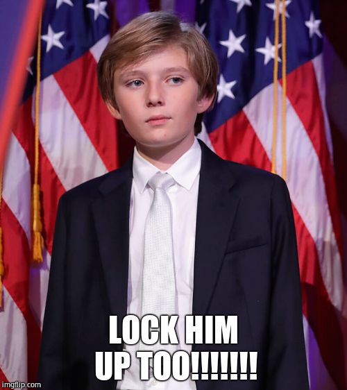 Barron Trump  | LOCK HIM UP TOO!!!!!!! | image tagged in barron trump | made w/ Imgflip meme maker