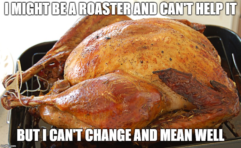 A ROASTER | I MIGHT BE A ROASTER AND CAN'T HELP IT; BUT I CAN'T CHANGE AND MEAN WELL | image tagged in roasted,chicken | made w/ Imgflip meme maker