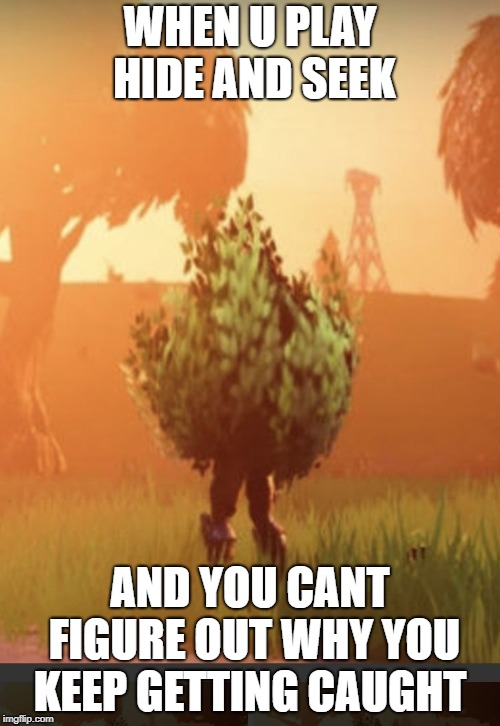 Fortnite bush | WHEN U PLAY HIDE AND SEEK; AND YOU CANT FIGURE OUT WHY YOU KEEP GETTING CAUGHT | image tagged in fortnite bush | made w/ Imgflip meme maker