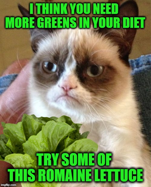 Bad Lettuce/E.Coli Outbreak | I THINK YOU NEED MORE GREENS IN YOUR DIET; TRY SOME OF THIS ROMAINE LETTUCE | image tagged in funny memes,recall,lettuce,warning,grumpy cat,cat | made w/ Imgflip meme maker
